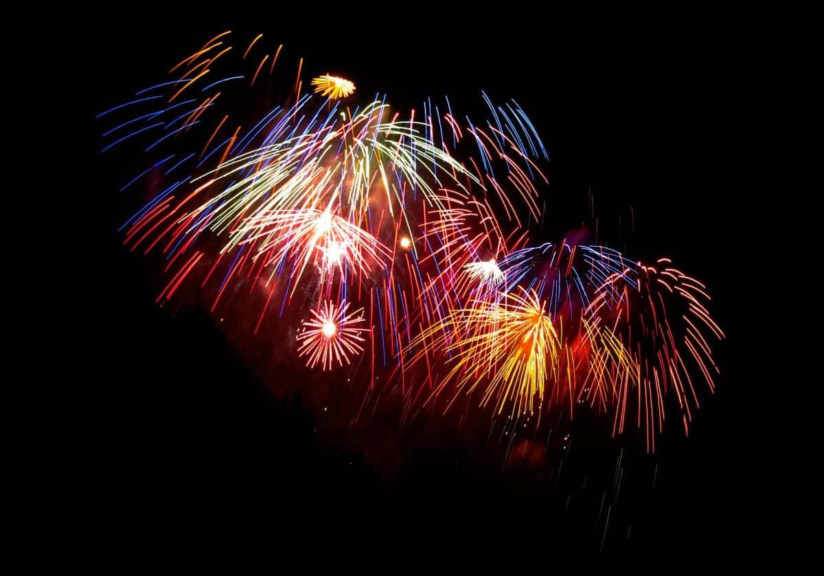 pexels-deadbird-29697762